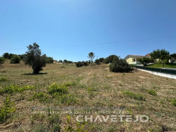 Terreno para Venda em Madalena e Beselga