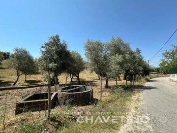 Terreno para Venda em Madalena e Beselga