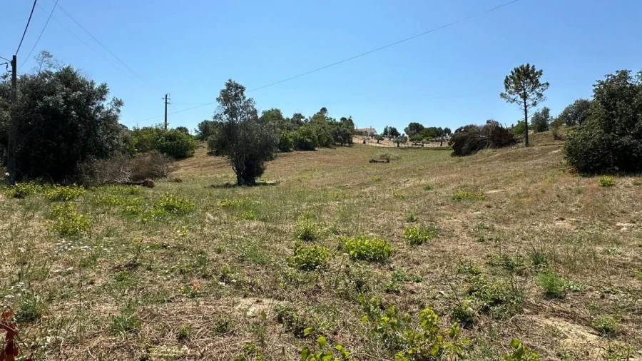 Terreno para Venda em Madalena e Beselga