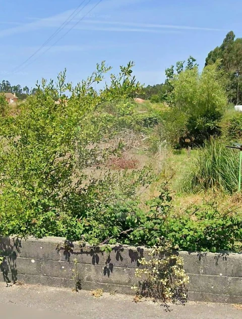 Terreno para Venda em Eixo e Eirol