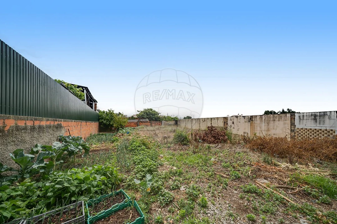 Moradia T4 para Venda em Aguada de Cima Foto 15
