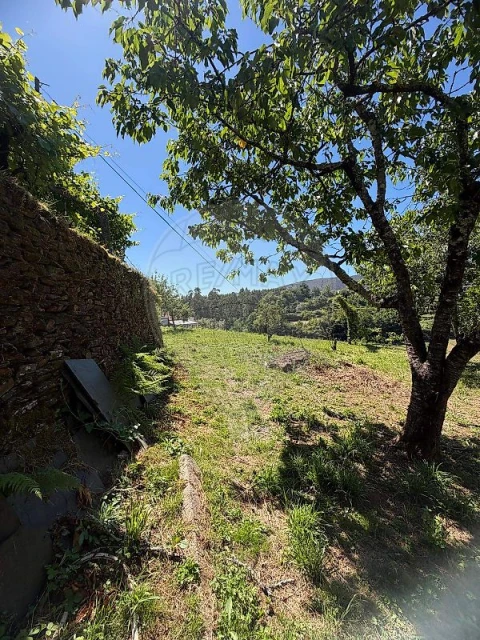 Moradia T3 para Venda em Nespereira