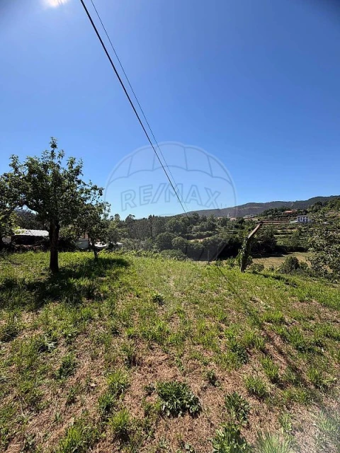 Moradia T3 para Venda em Nespereira