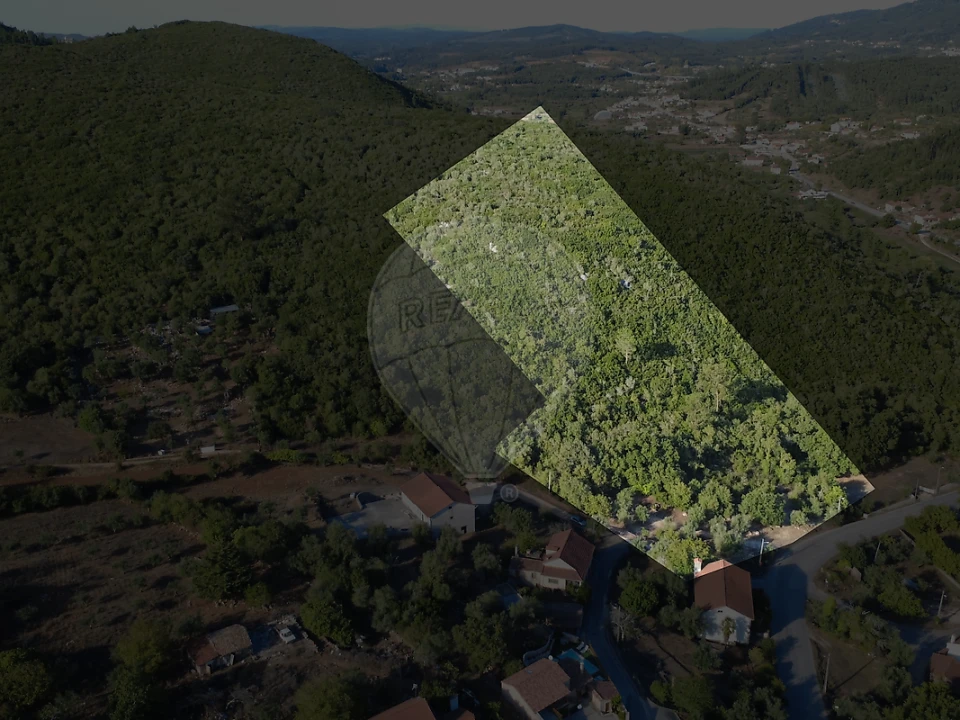 Terreno para Venda em São Miguel, Santa Eufémia e Rabaçal Foto 8