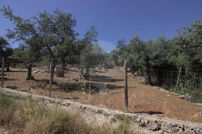 Terreno para Venda em São Miguel, Santa Eufémia e Rabaçal