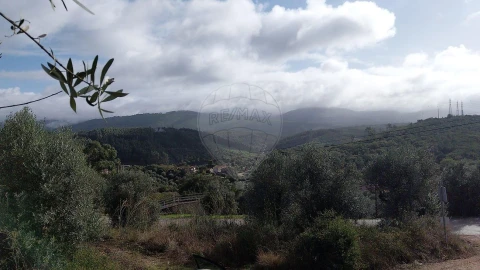 Terreno para Venda em São Miguel, Santa Eufémia e Rabaçal