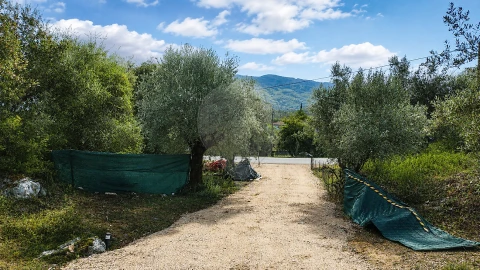 Terreno para Venda em São Miguel, Santa Eufémia e Rabaçal