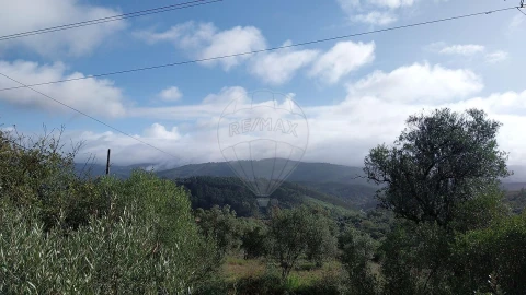 Terreno para Venda em São Miguel, Santa Eufémia e Rabaçal
