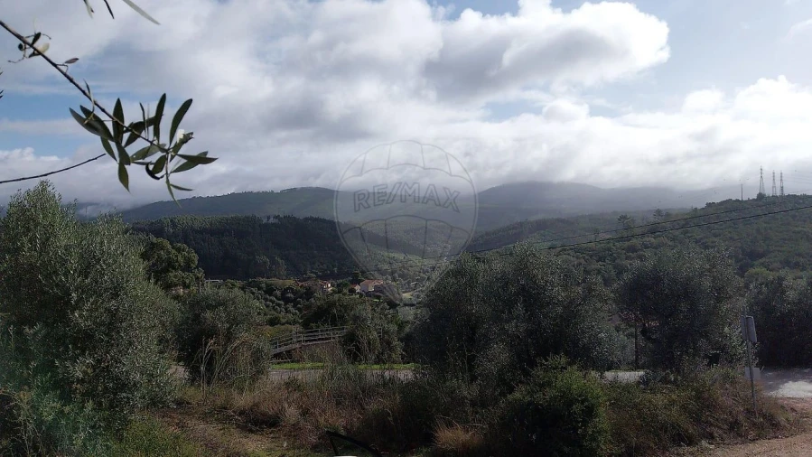 Terreno para Venda em São Miguel, Santa Eufémia e Rabaçal Foto 4