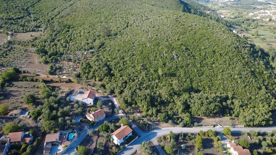 Terreno para Venda em São Miguel, Santa Eufémia e Rabaçal Foto 10
