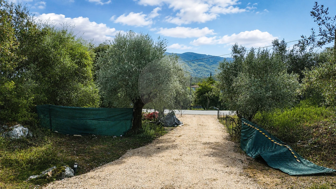 Terreno para Venda em São Miguel, Santa Eufémia e Rabaçal Foto 1