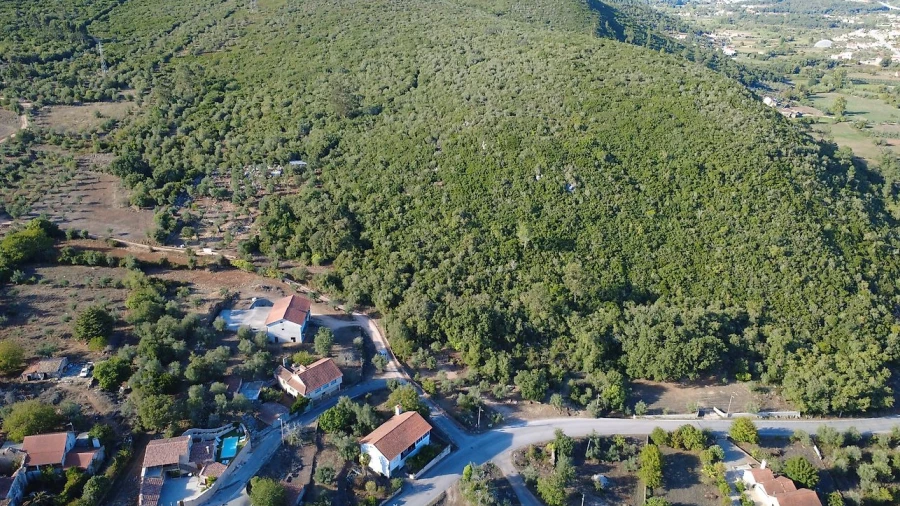 Terreno para Venda em São Miguel, Santa Eufémia e Rabaçal