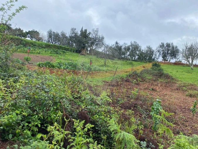 Terreno para Venda em Santo Antonio dos Olivais Foto 2