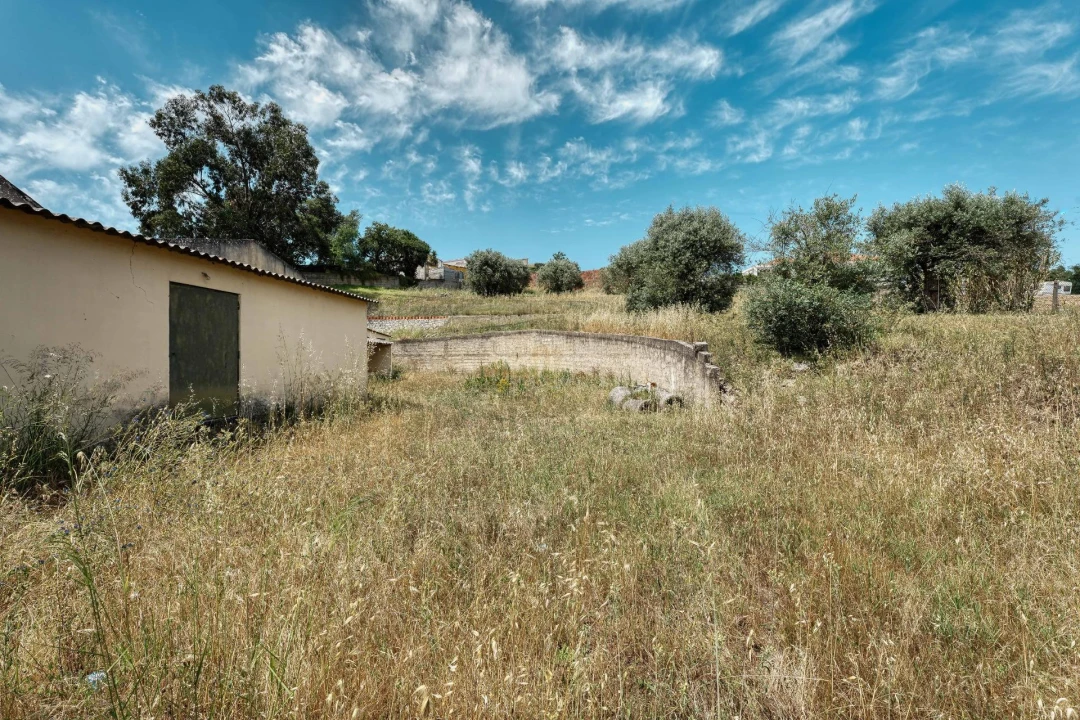 Armazém para Venda em Azambuja Foto 22