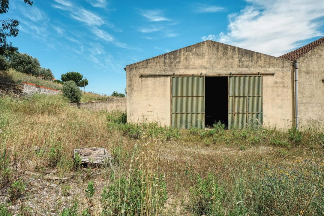 Armazém para Venda em Azambuja Foto 4