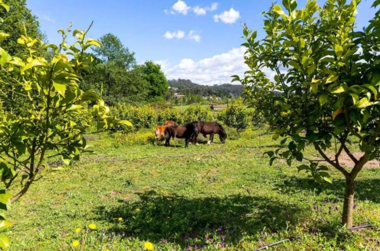 Moradia para Venda em Valpedre Foto 13