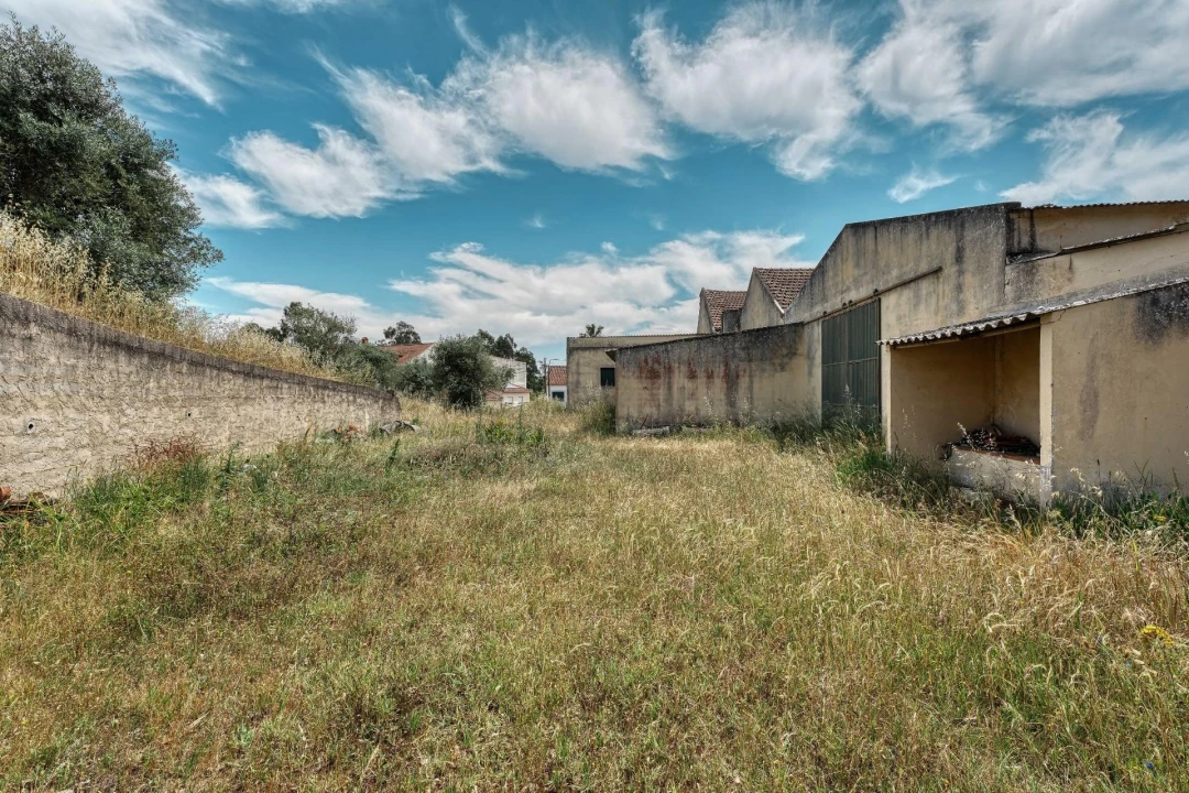 Armazém para Venda em Azambuja Foto 8