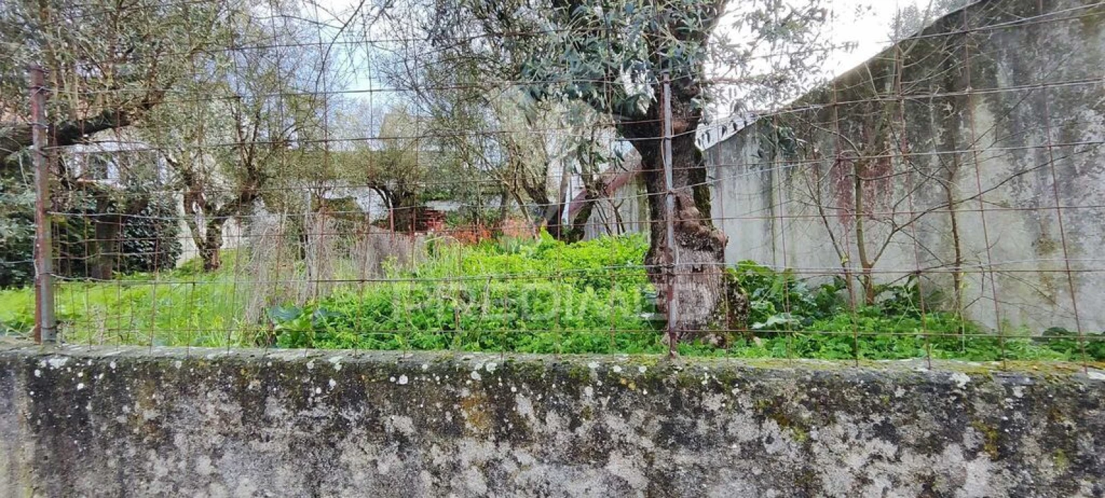 Moradia T2 para Venda em Glória do Ribatejo e Granho Foto 10