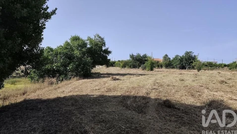 Moradia para Venda em Conceição e Estoi