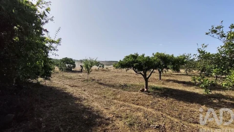 Moradia para Venda em Conceição e Estoi