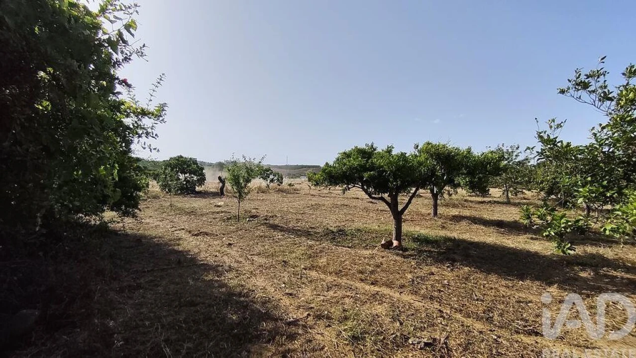 Moradia para Venda em Conceição e Estoi Foto 4