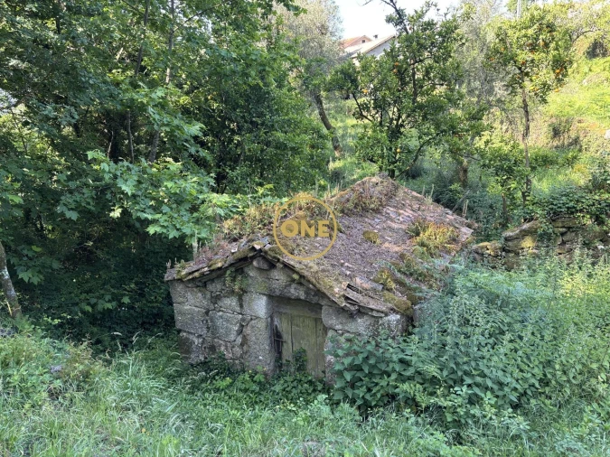 Moradia para Venda em Vilela, Seramil e Paredes Secas Foto 4
