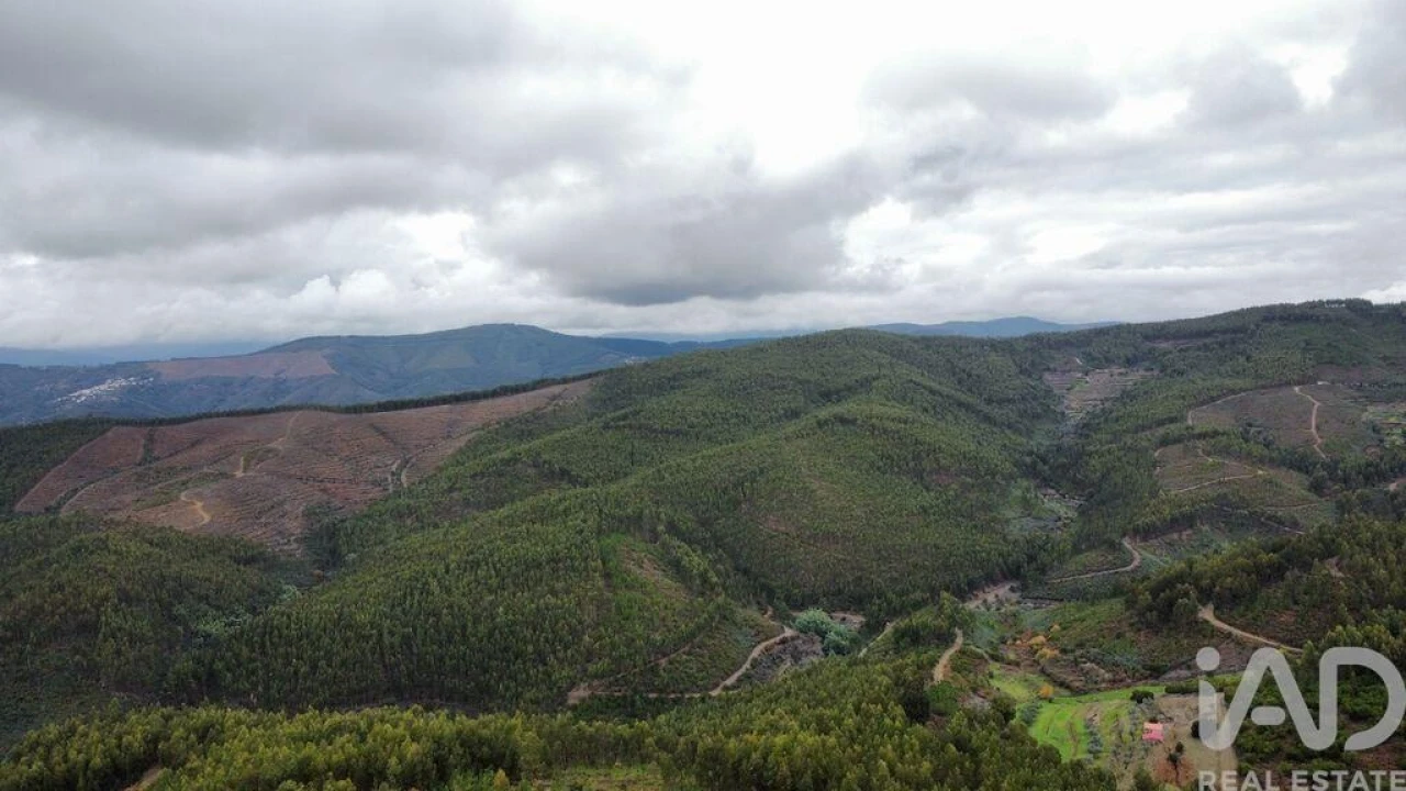 Moradia para Venda em Sobral Foto 12