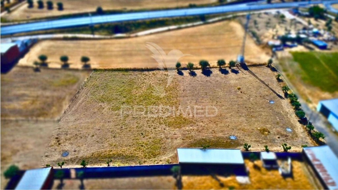 Terreno para Venda em São Sebastião da Giesteira e Nossa Senhora da Boa Fé Foto 5