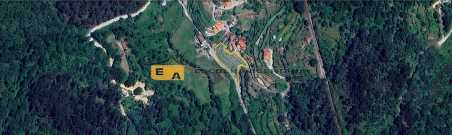 Terreno para Venda em Baião (Santa Leocádia) e Mesquinhata