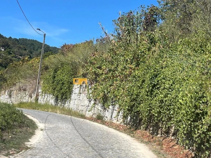 Terreno para Venda em Baião (Santa Leocádia) e Mesquinhata Foto 4