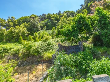 Terreno para Venda em Boa Ventura