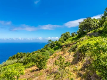 Terreno para Venda em Boa Ventura