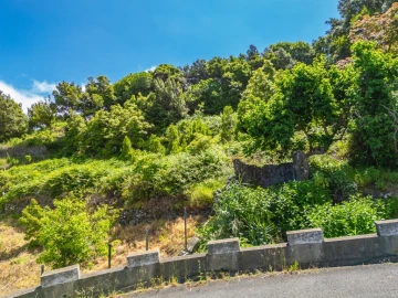 Terreno para Venda em Boa Ventura