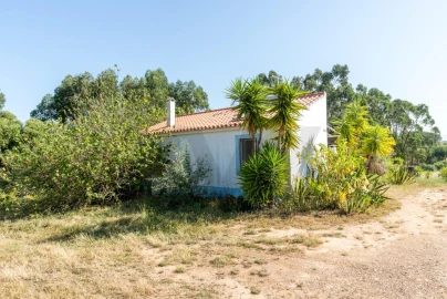 Quinta T2 para Venda em Santiago do Cacém, Santa Cruz e São Bartolomeu da Serra