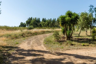 Quinta T2 para Venda em Santiago do Cacém, Santa Cruz e São Bartolomeu da Serra