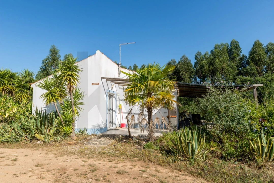 Quinta T2 para Venda em Santiago do Cacém, Santa Cruz e São Bartolomeu da Serra Foto 1