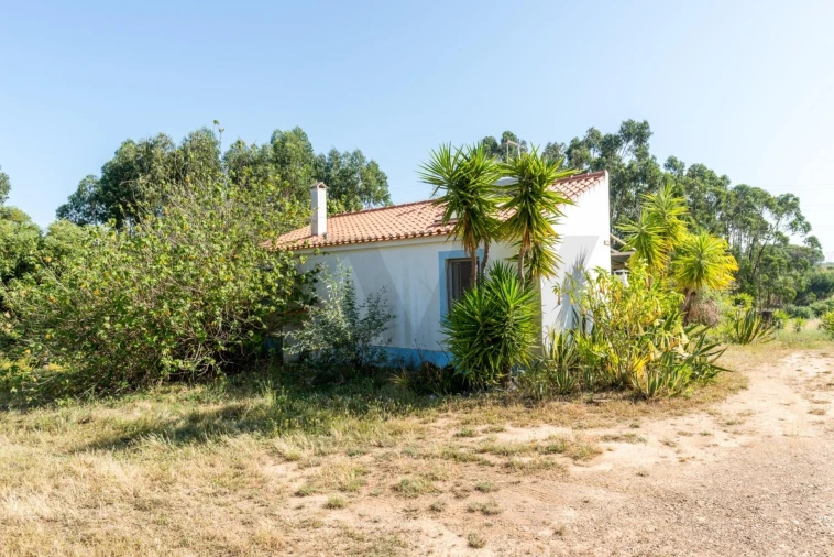 Quinta T2 para Venda em Santiago do Cacém, Santa Cruz e São Bartolomeu da Serra Foto 7