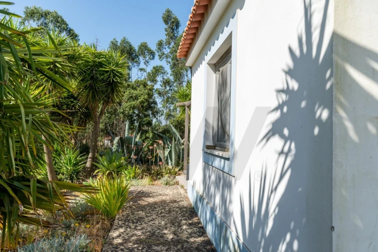 Quinta T2 para Venda em Santiago do Cacém, Santa Cruz e São Bartolomeu da Serra Foto 30
