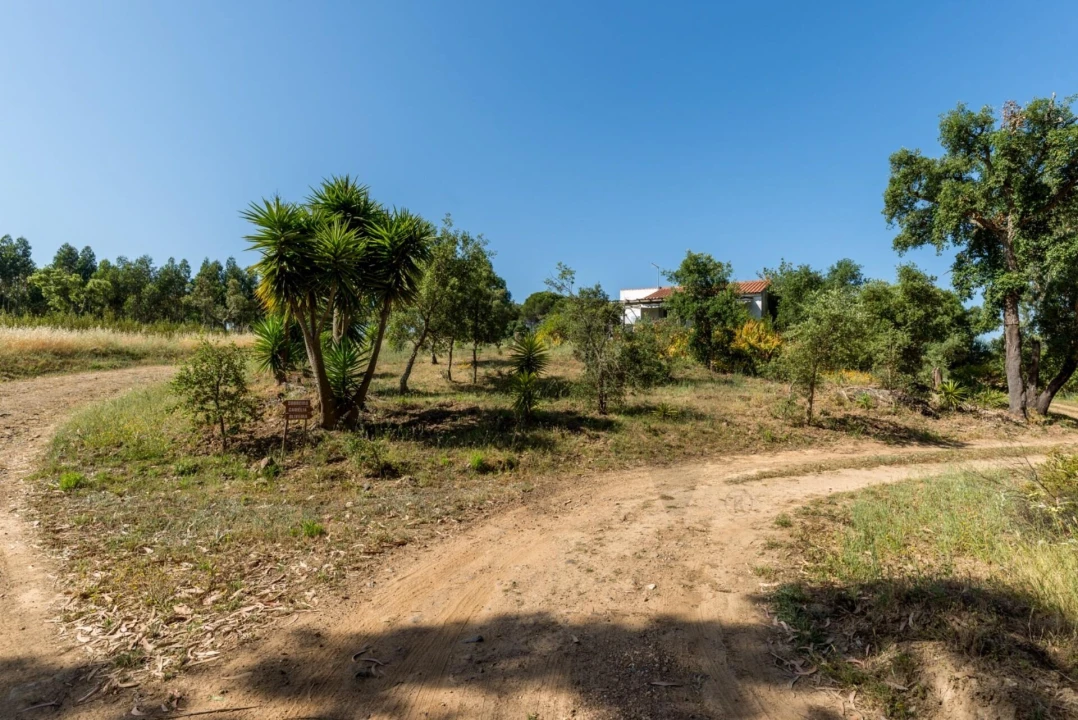 Quinta T2 para Venda em Santiago do Cacém, Santa Cruz e São Bartolomeu da Serra Foto 19