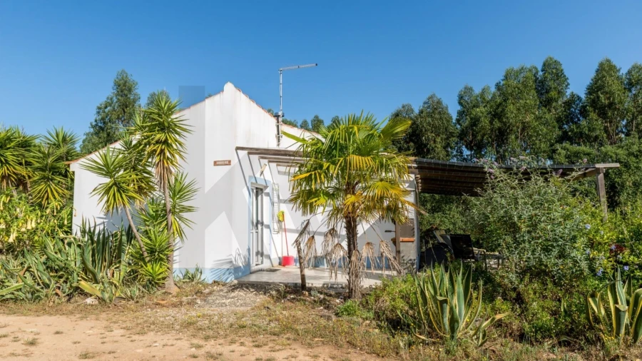 Quinta T11 para Venda em Santiago do Cacém, Santa Cruz e São Bartolomeu da Serra