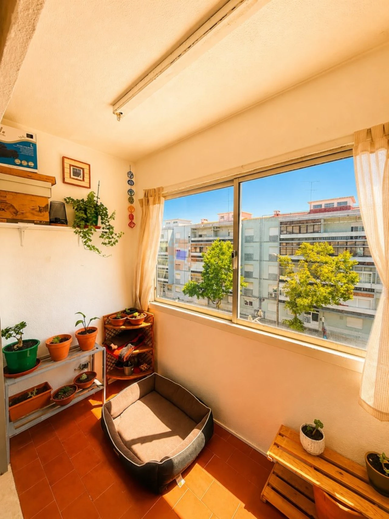 Apartamento T1 para Venda em Laranjeiro e Feijó Foto 7