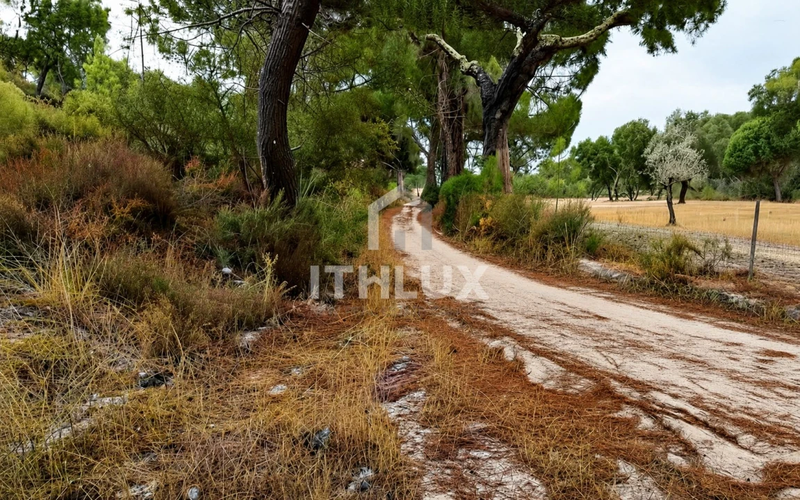 Quinta para Venda em Galveias Foto 2