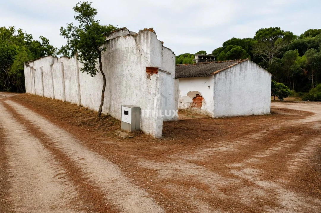 Quinta para Venda em Galveias Foto 2