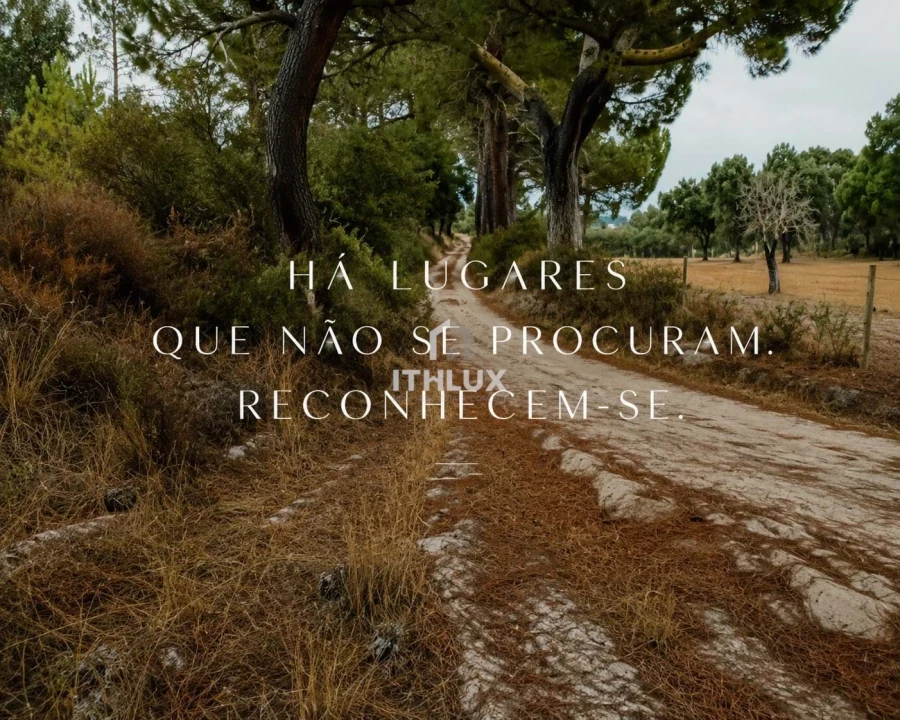 Quinta para Venda em Galveias Foto 1