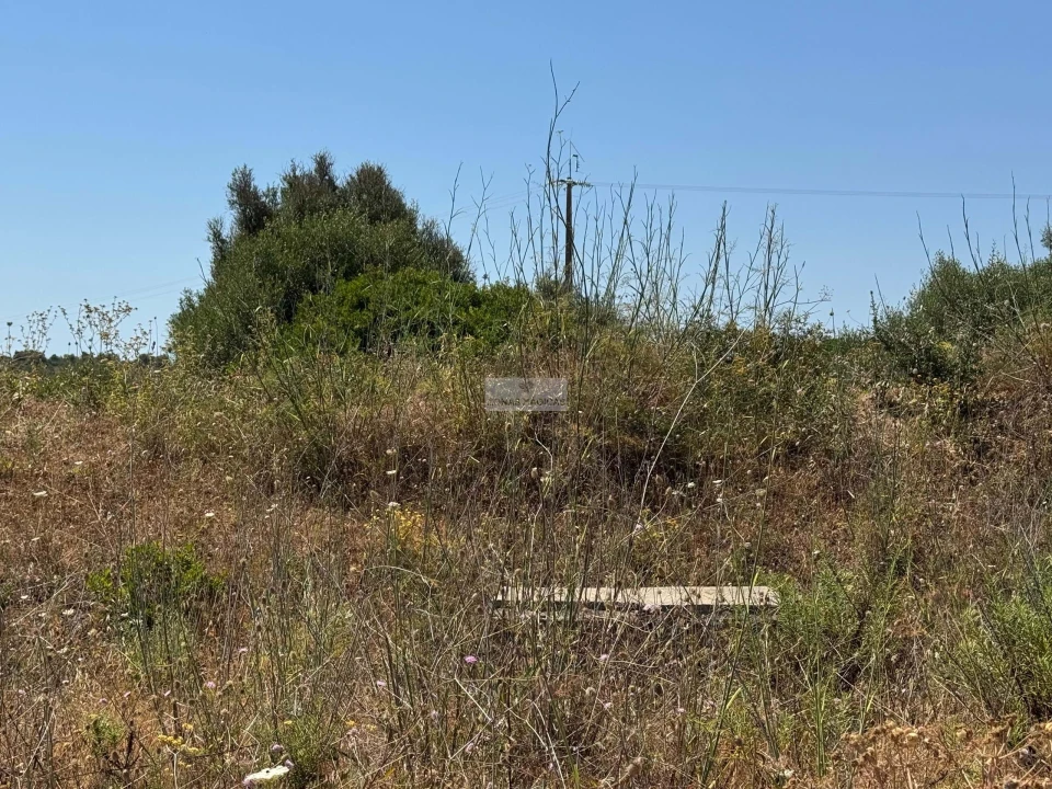 Terreno para Venda em Lagos (São Sebastião e Santa Maria) Foto 4