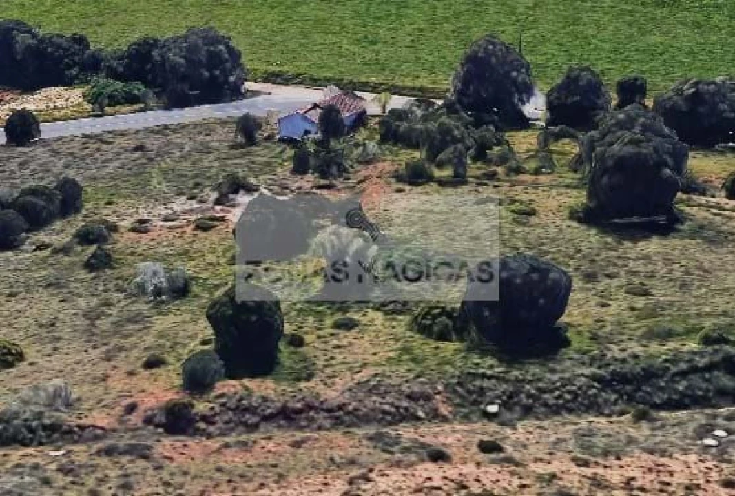 Terreno para Venda em Lagos (São Sebastião e Santa Maria) Foto 10
