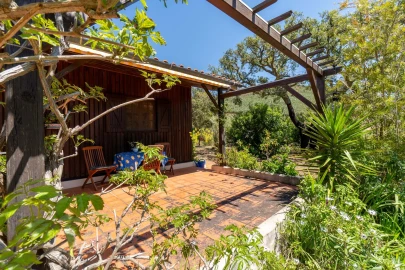 Quinta T2 para Venda em Mexilhoeira Grande