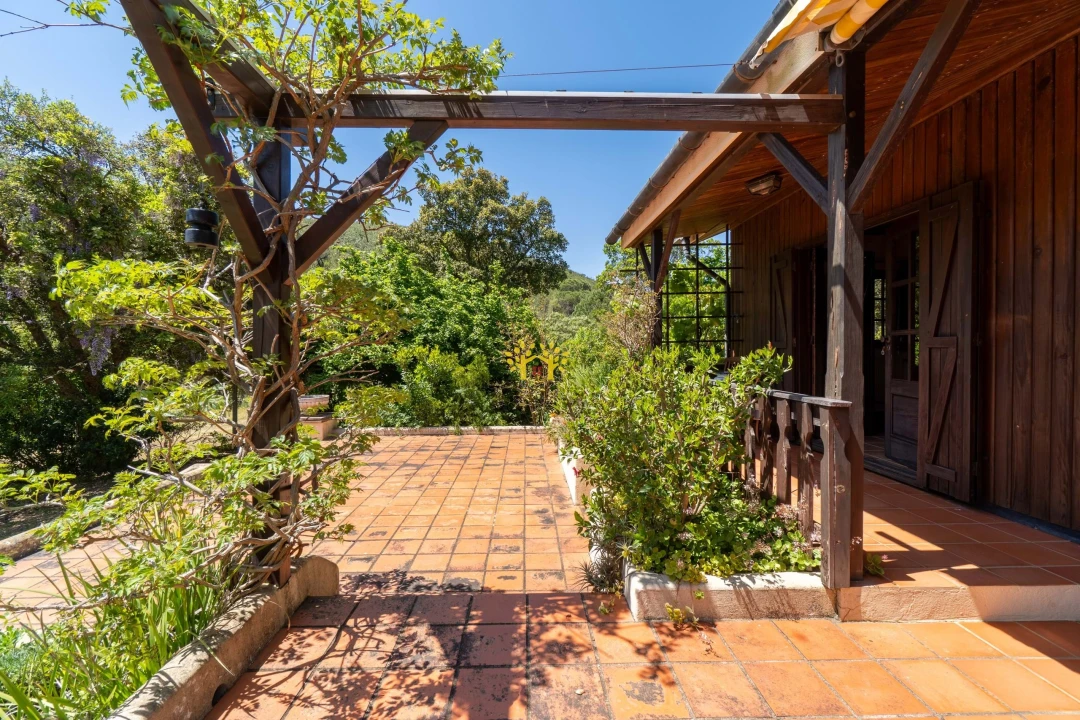Quinta T2 para Venda em Mexilhoeira Grande Foto 60