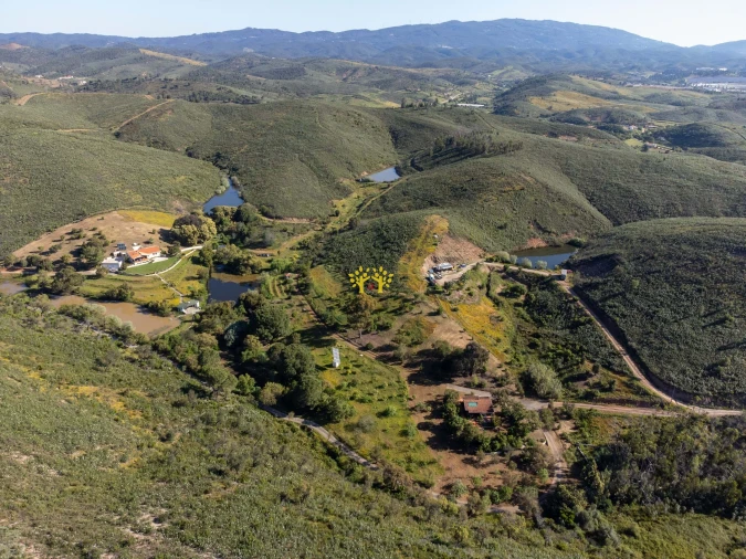 Quinta T2 para Venda em Mexilhoeira Grande Foto 4