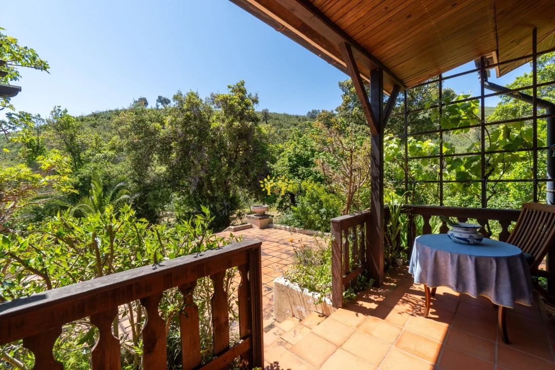 Quinta T2 para Venda em Mexilhoeira Grande Foto 57